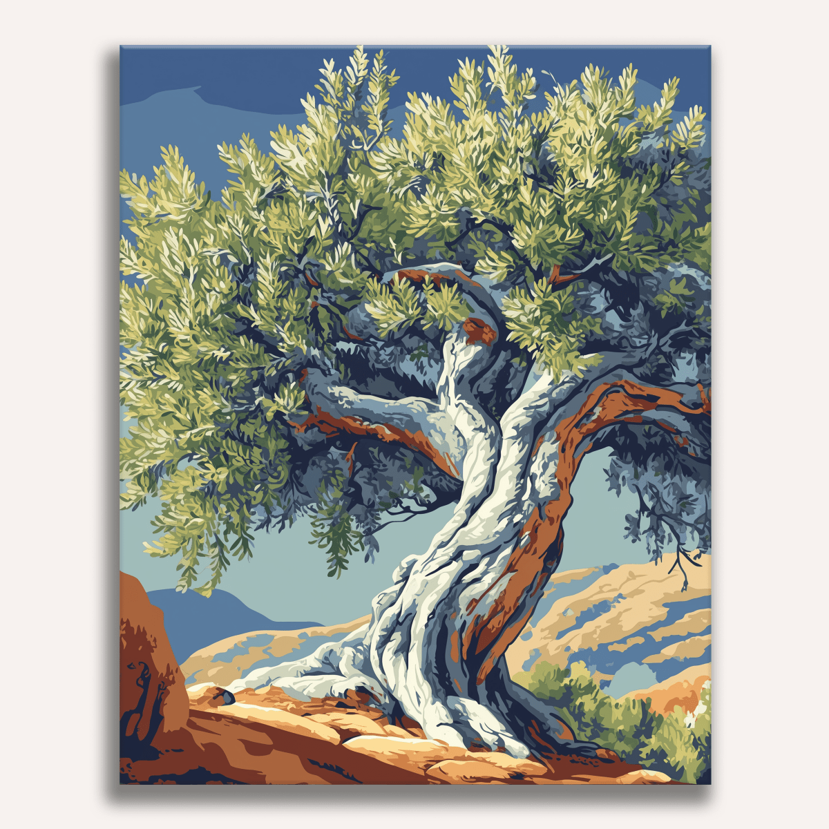 絵画 TREE Ancient Twisted Olive Tree Paint by Numbers Kit