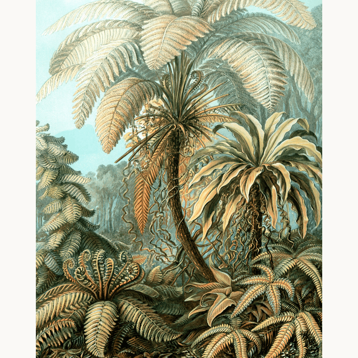 Filicinae by Ernst Haeckel - Number Artist Paint by Numbers Kits