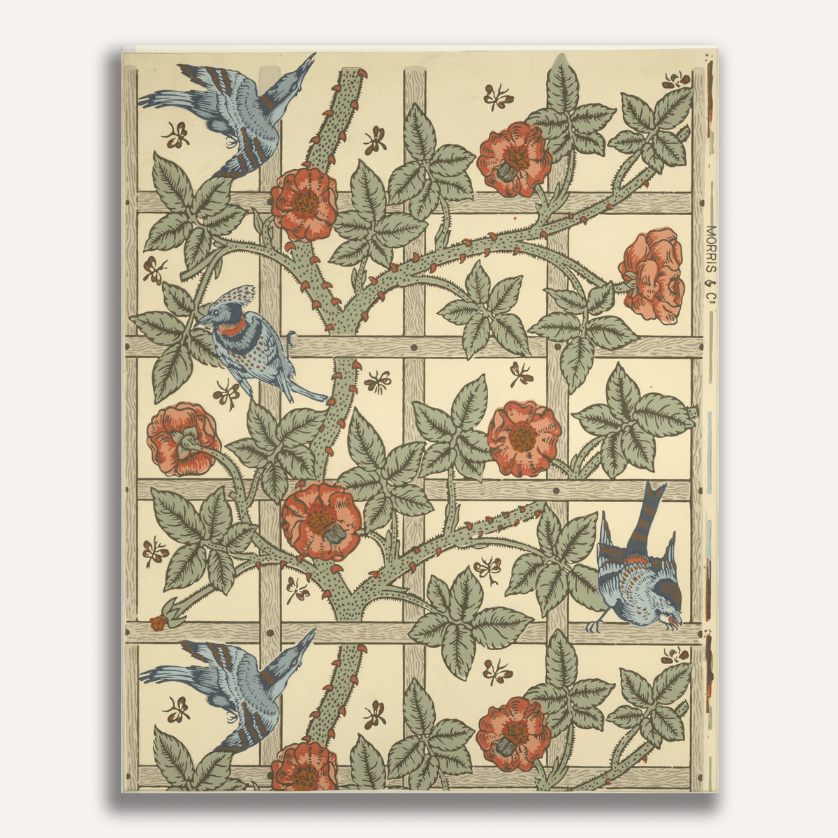 Trellis by William Morris - Number Artist Paint by Numbers Kits