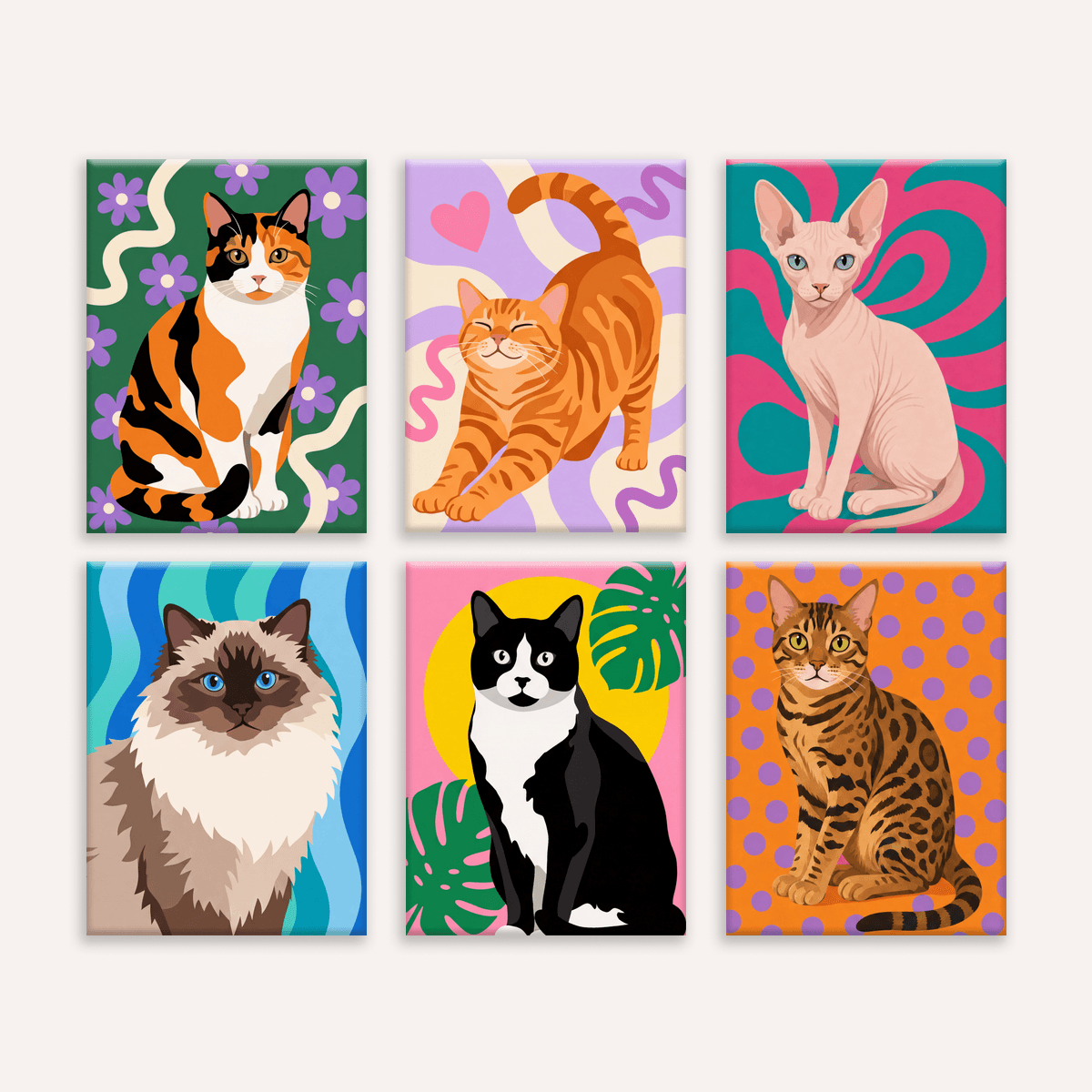 Funky Cats - Number Artist Paint by Numbers Kits