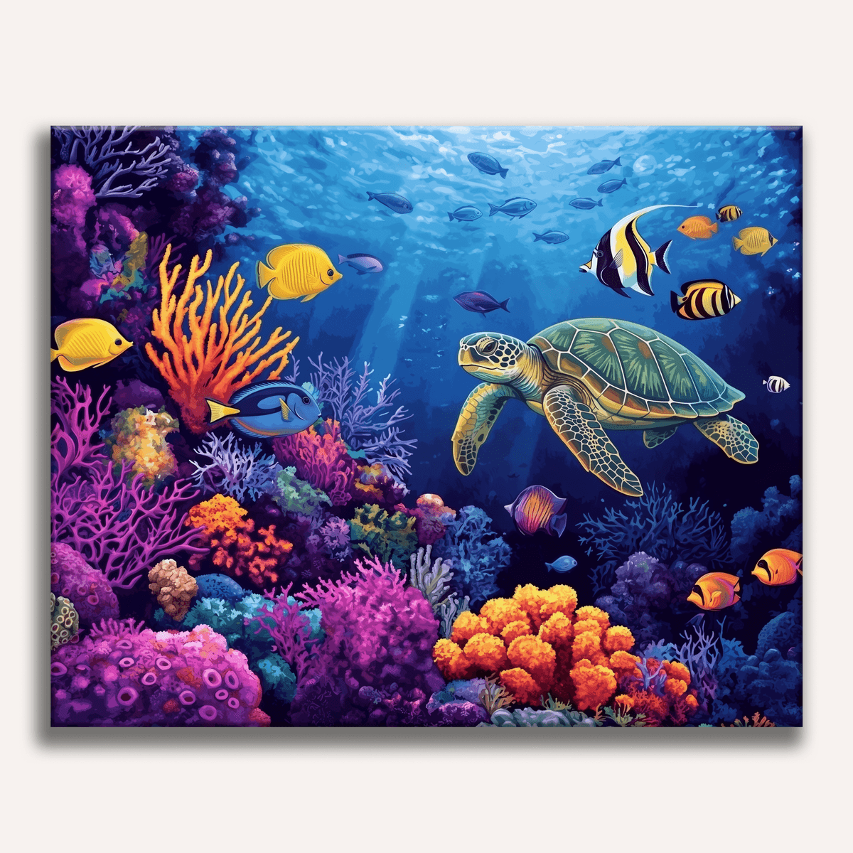 Coral Reef Life