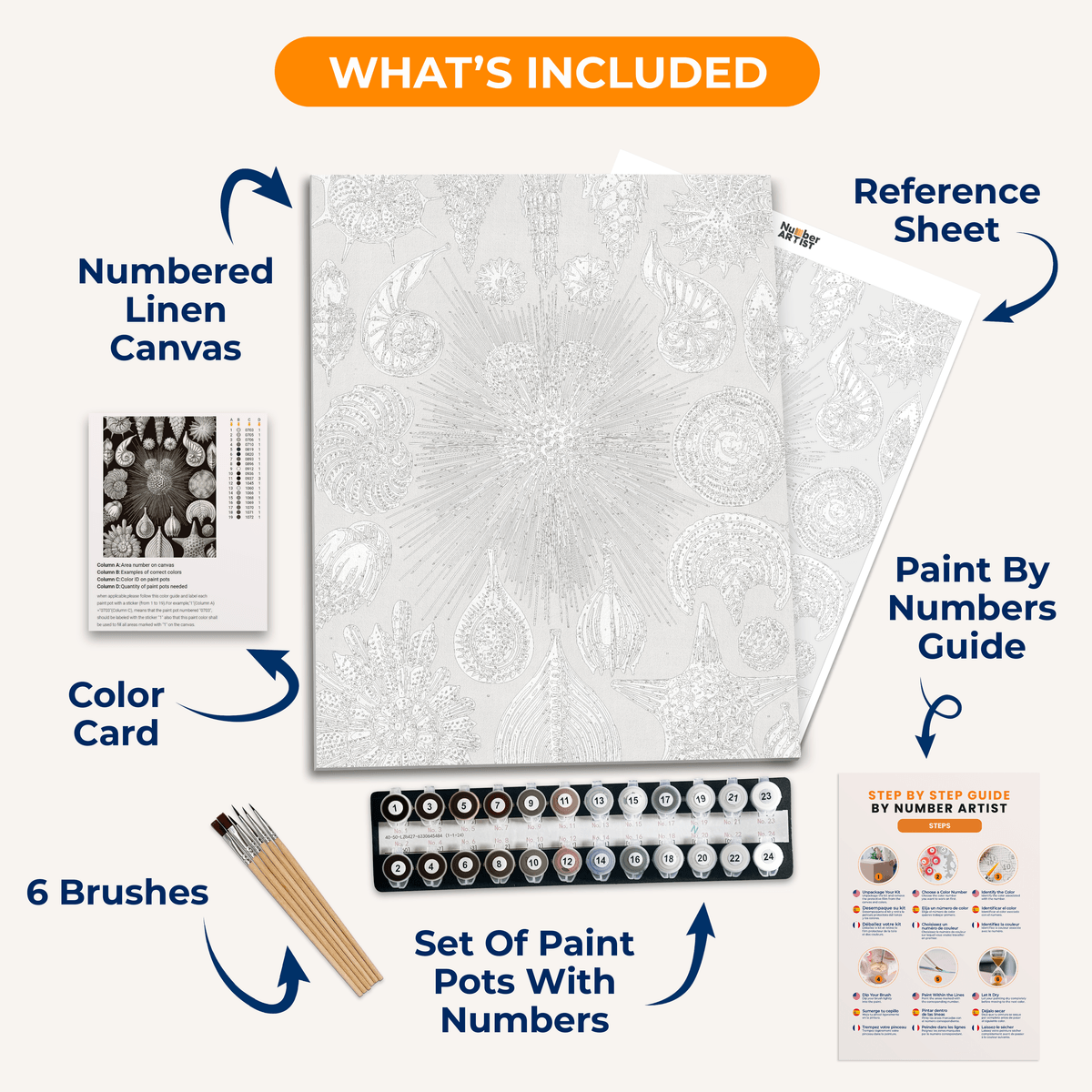Thalamphora by Ernst Haeckel - Number Artist Paint by Numbers Kits