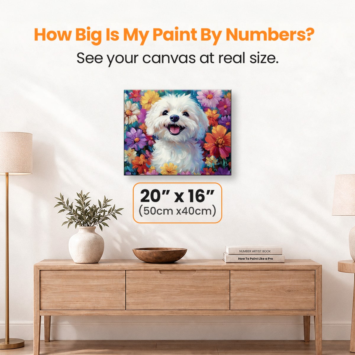 Bichon Frise
