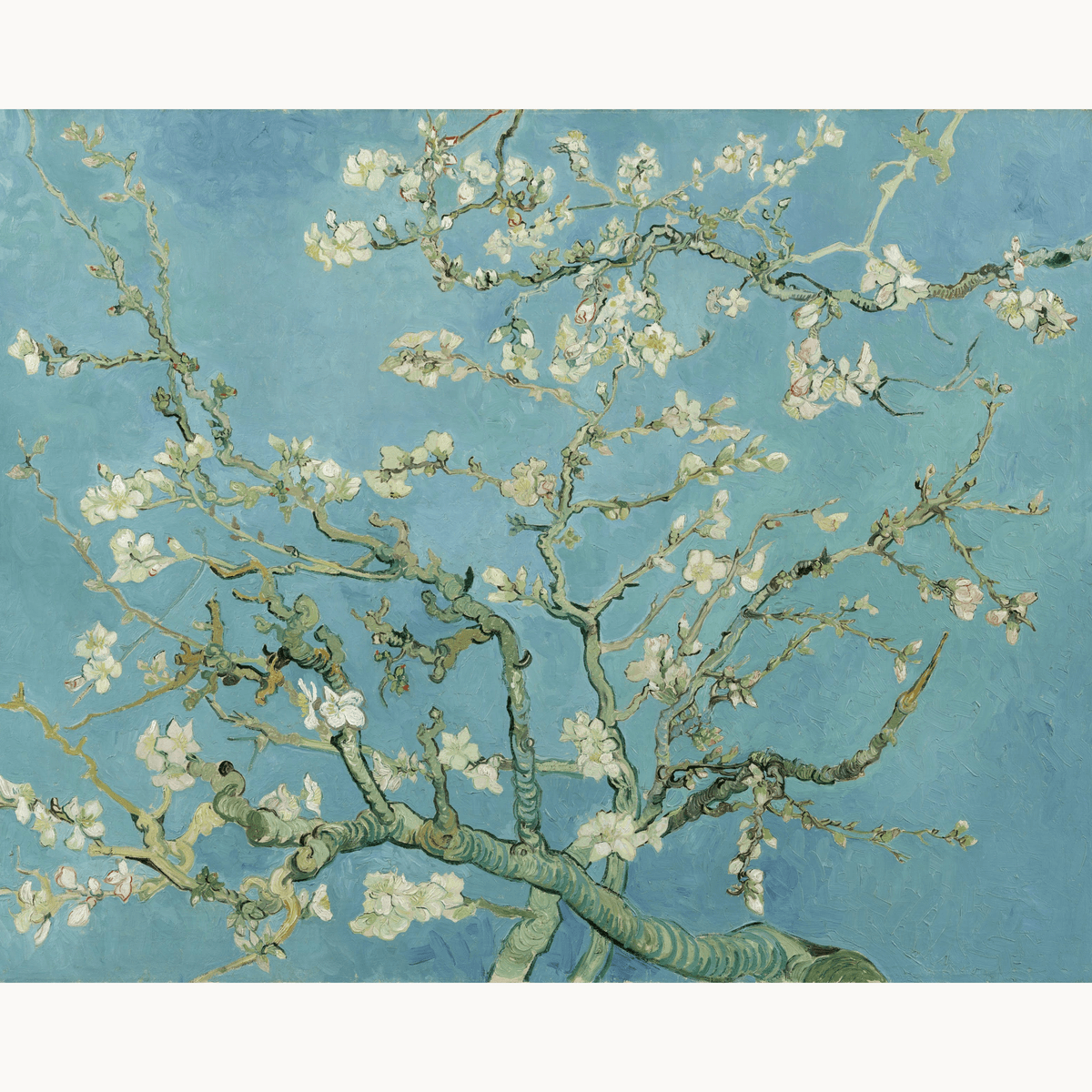 Almond Blossom by Vincent Van Gogh - Number Artist Paint by Numbers Kits