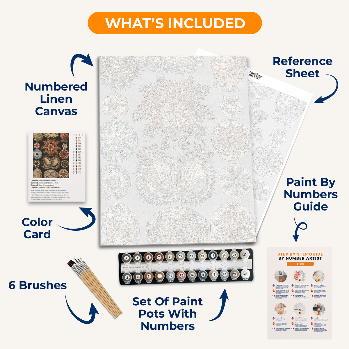 Ascidiae by Ernst Haeckel - Number Artist Paint by Numbers Kits