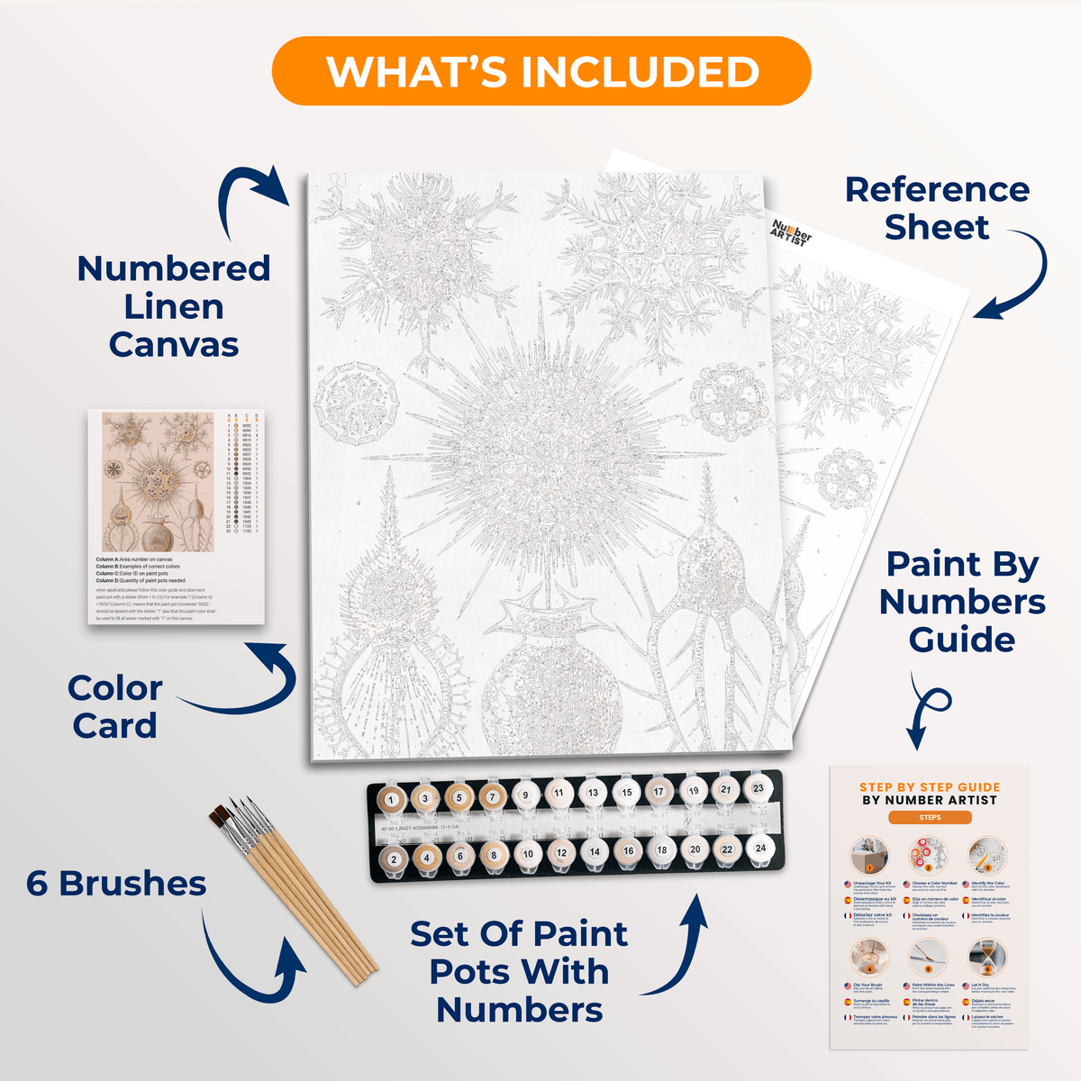 Phaeodaria by Ernst Haeckel - Number Artist Paint by Numbers Kits