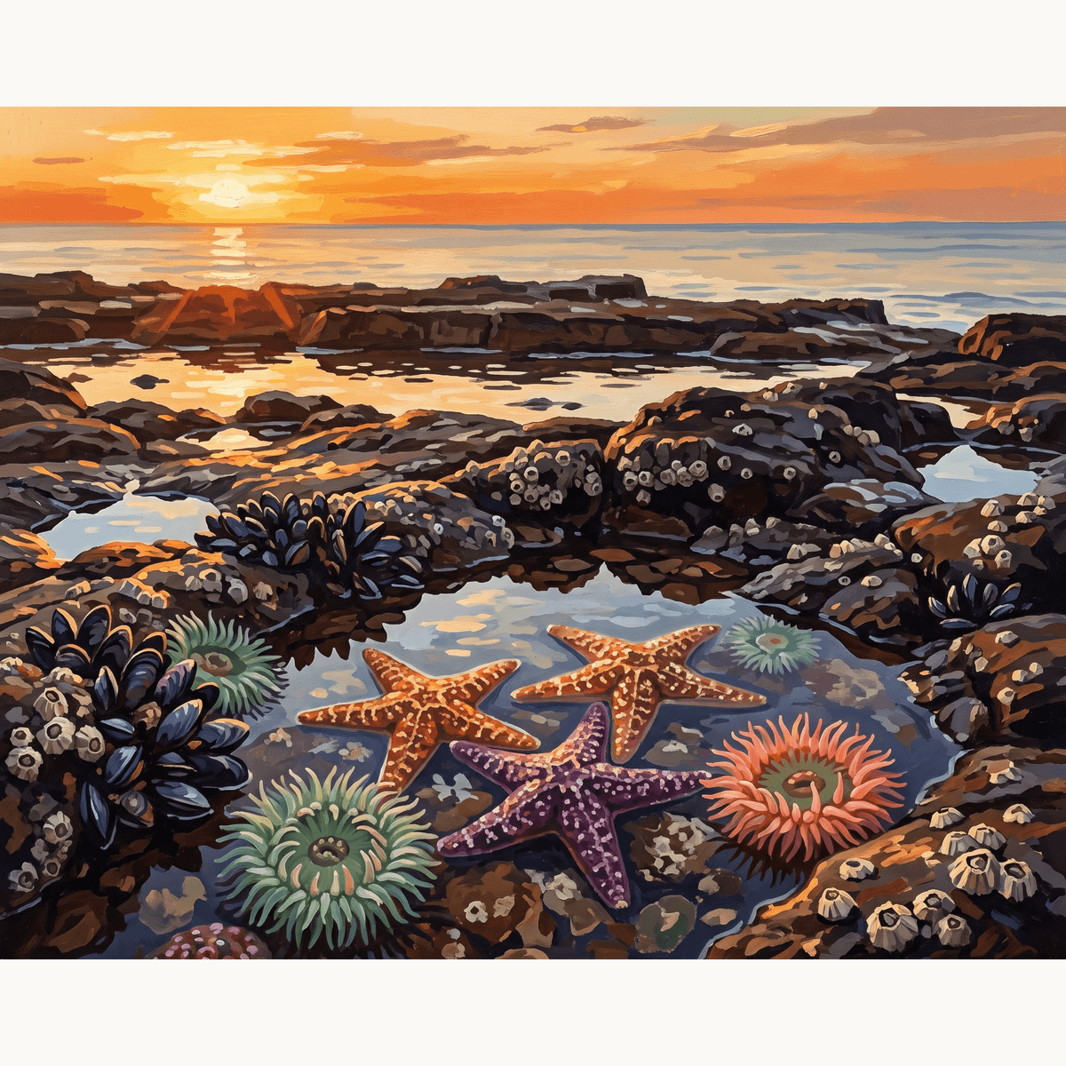 Hidden Wonders - Number Artist Paint by Numbers Kits