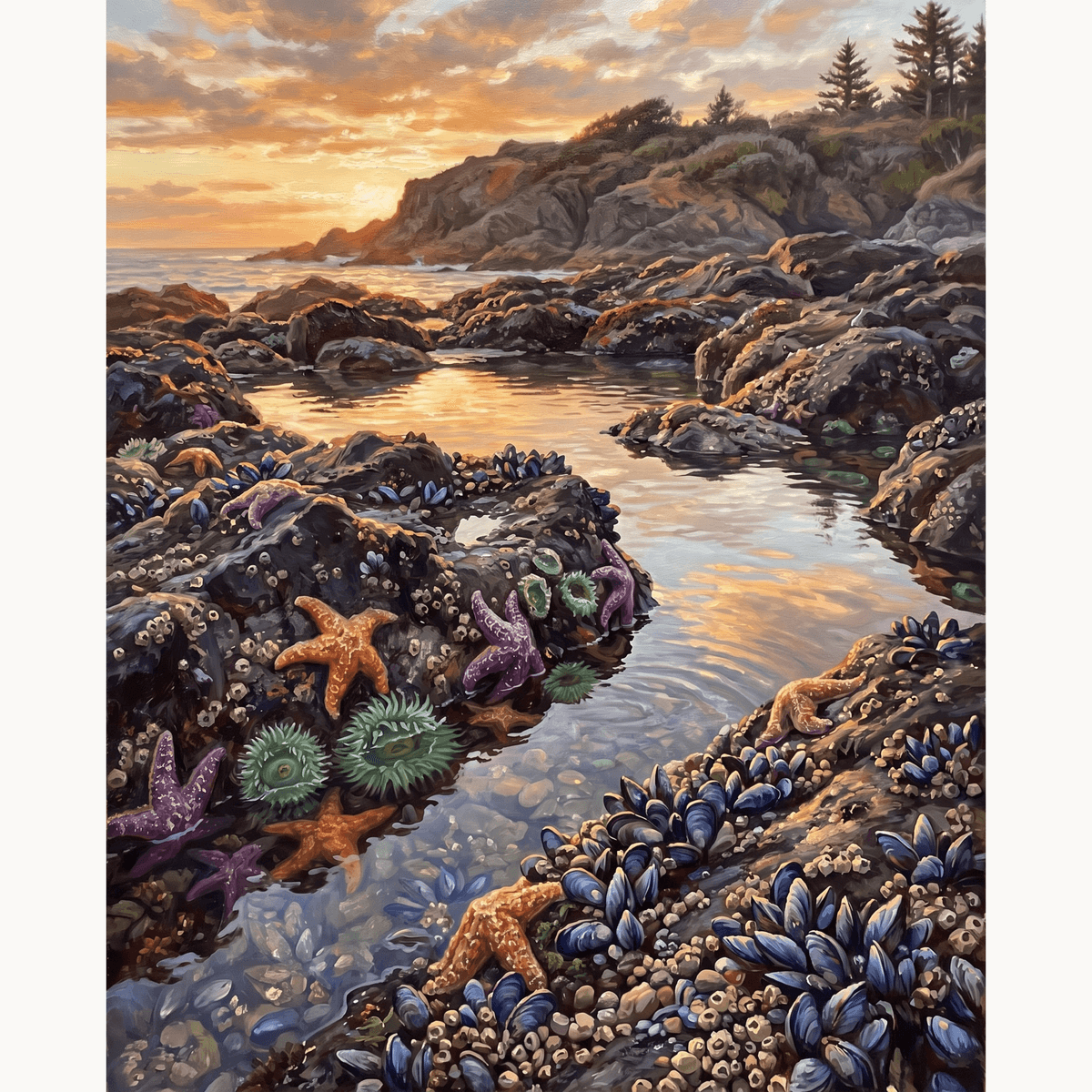 Tide Pools - Number Artist Paint by Numbers Kits