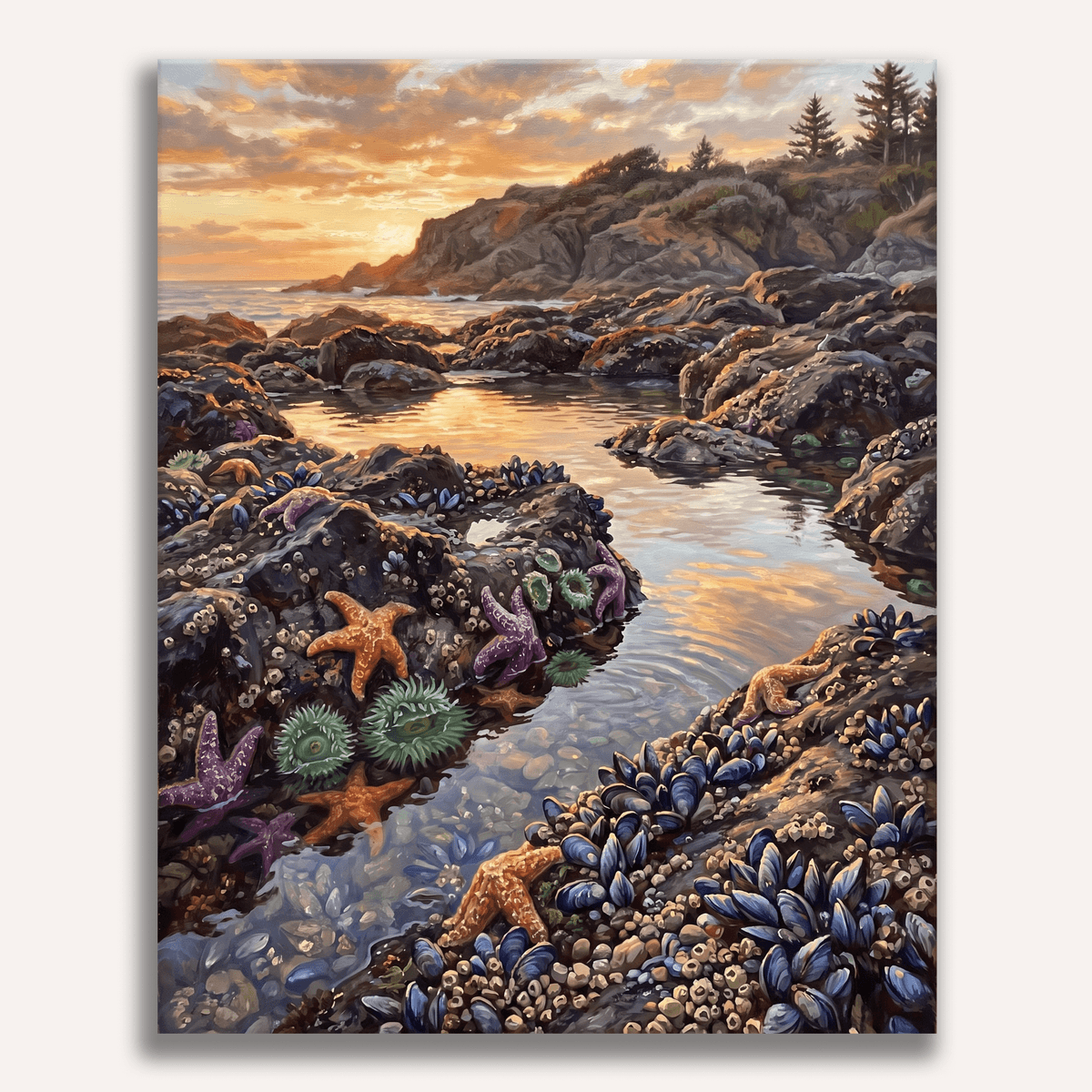 Tide Pools - Number Artist Paint by Numbers Kits