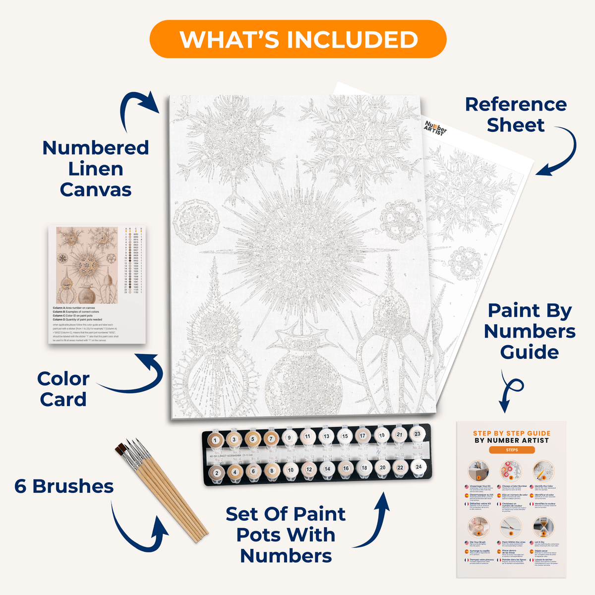 Phaeodaria by Ernst Haeckel - Number Artist Paint by Numbers Kits