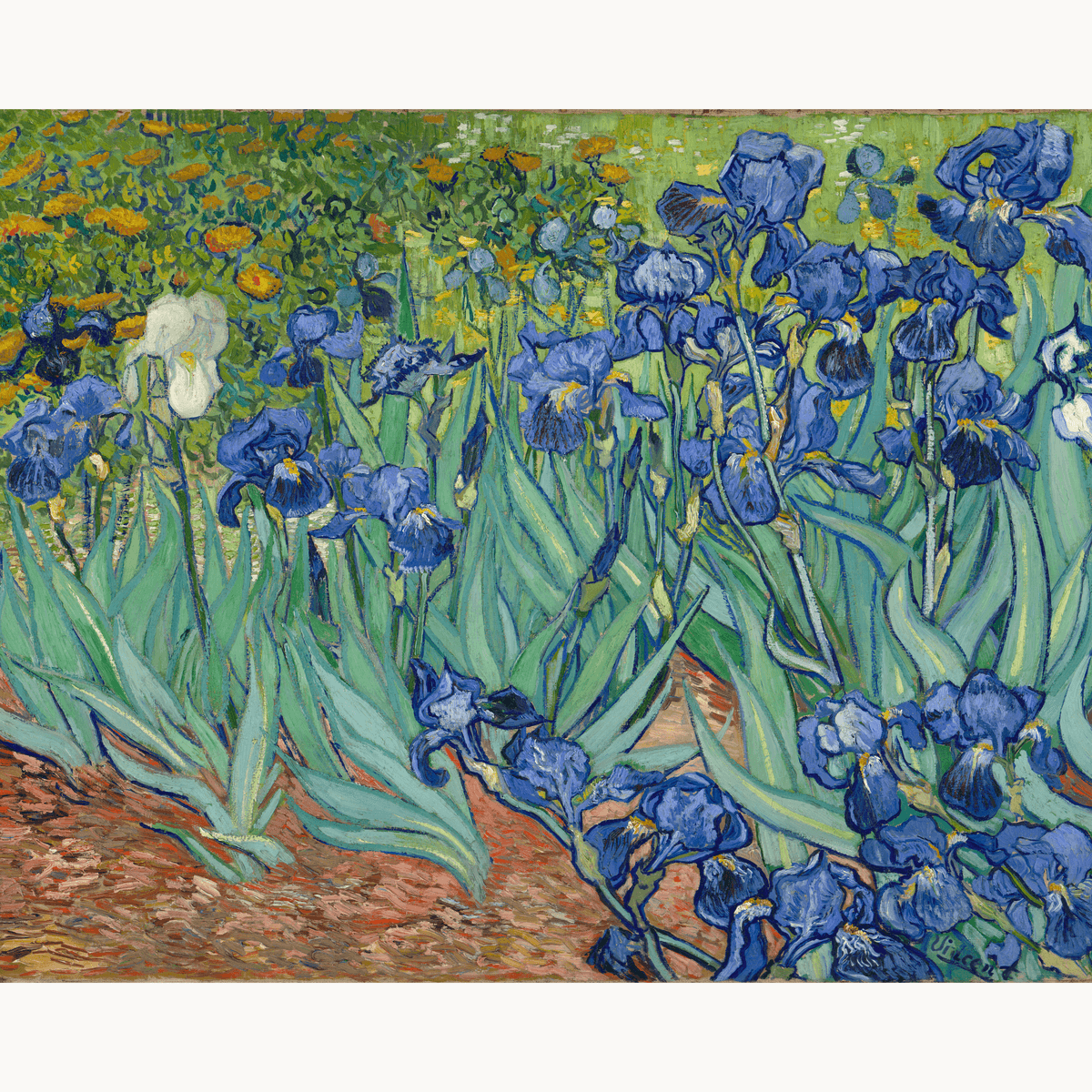 Irises by Vincent Van Gogh - Number Artist Paint by Numbers Kits