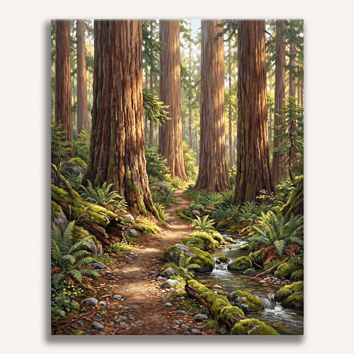 Redwood Path - Number Artist Paint by Numbers Kits