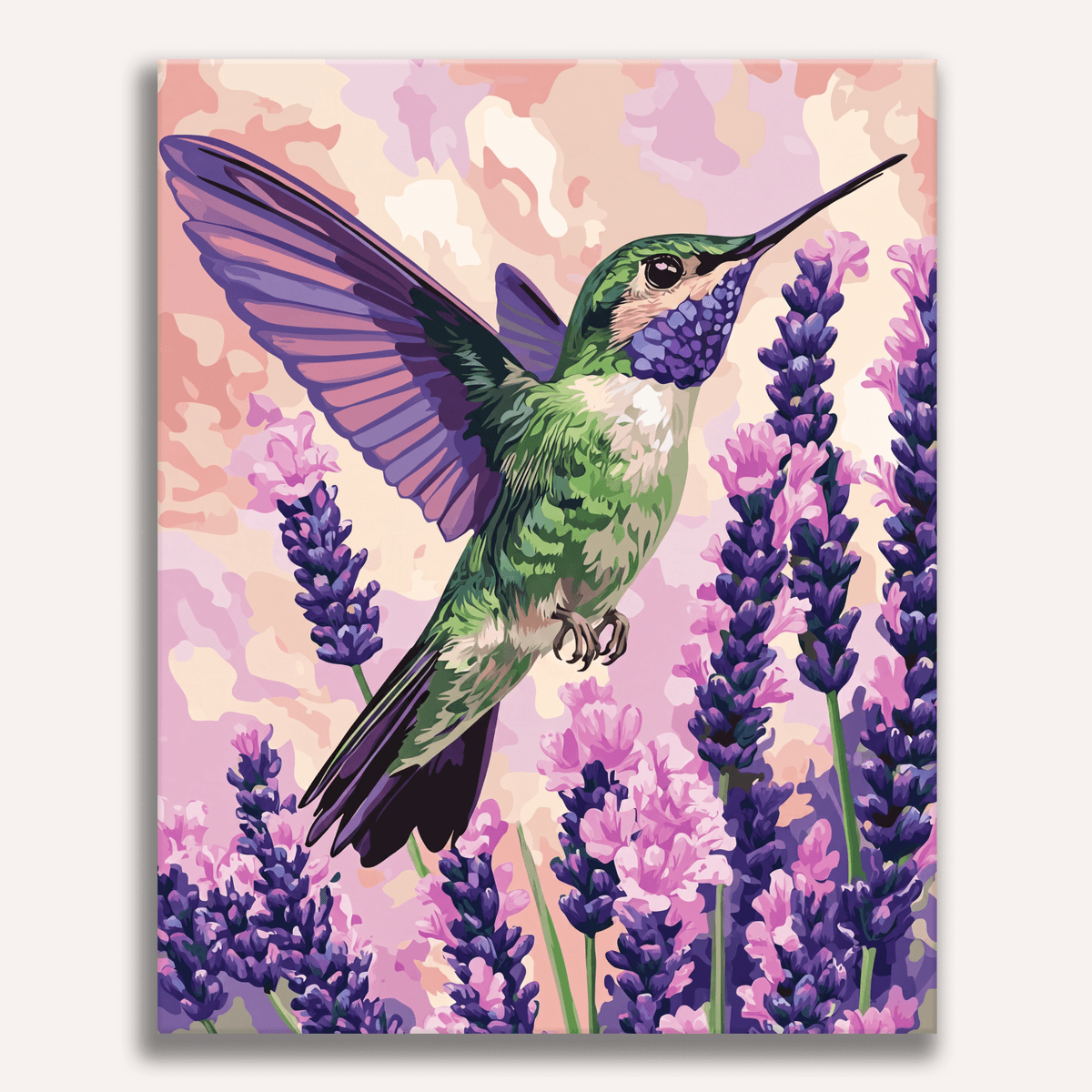 Lavender Hummingbird