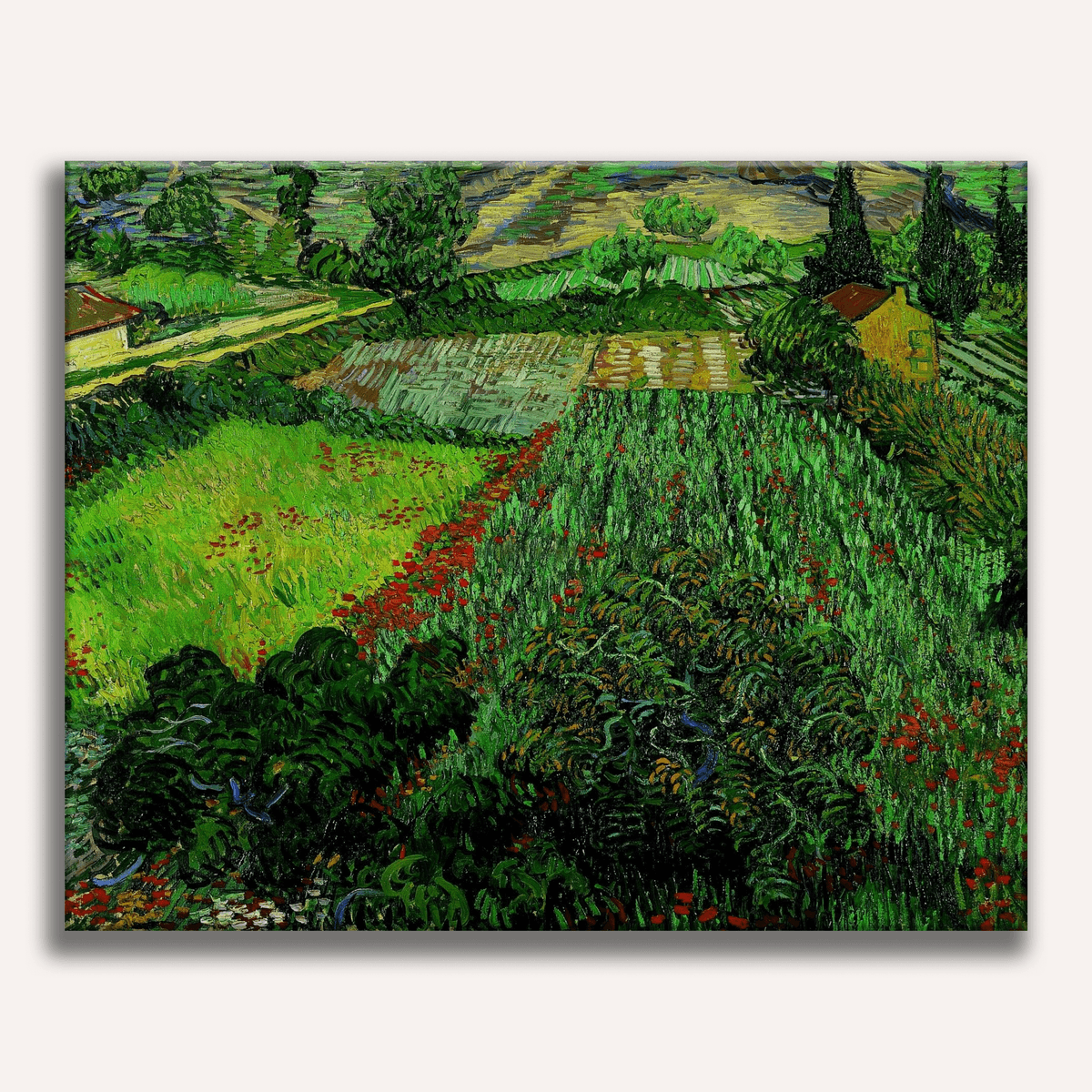 Field with Poppies by Vincent Van Gogh - Number Artist Paint by Numbers Kits
