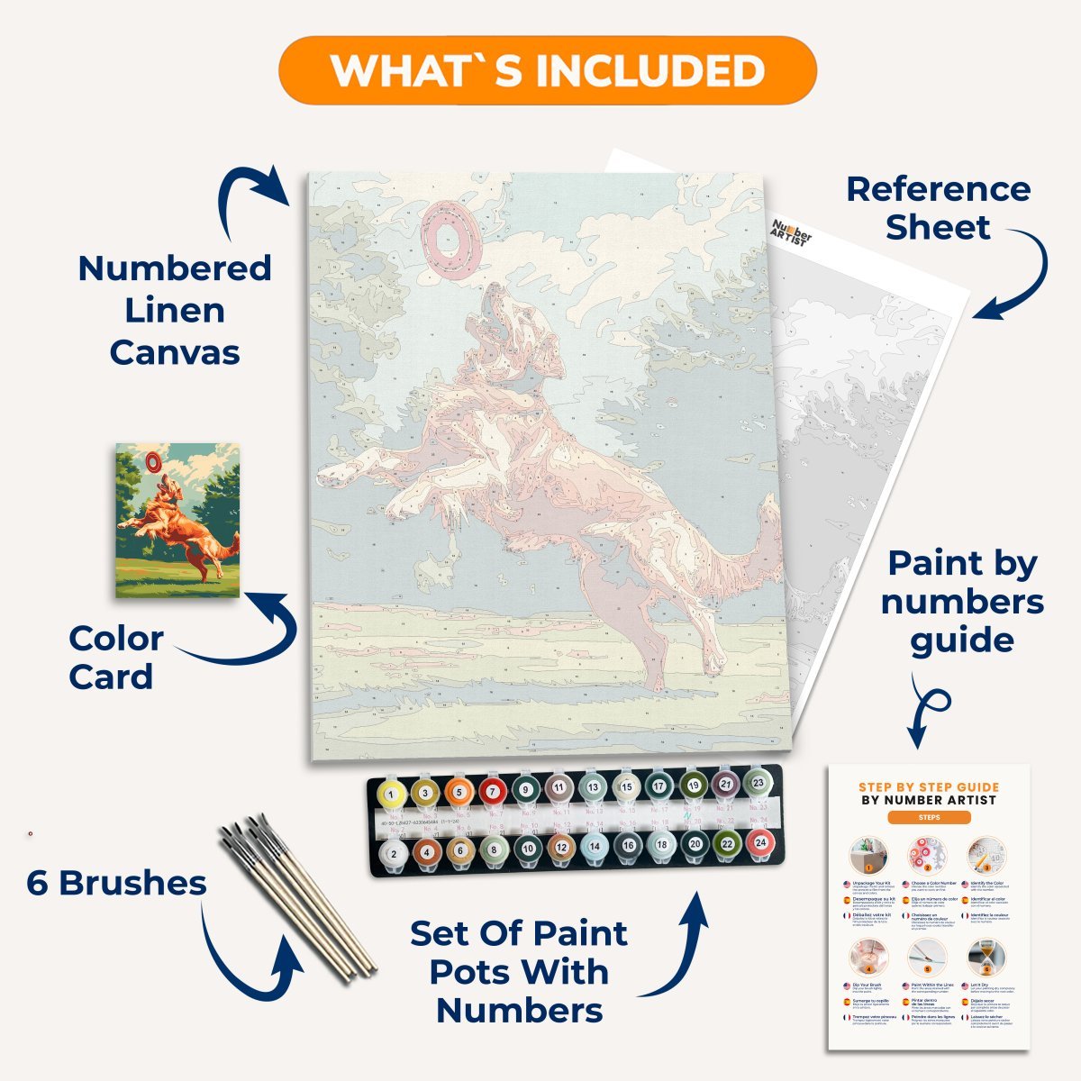 Frisbee Retreiver - Number Artist Paint by Numbers Kits