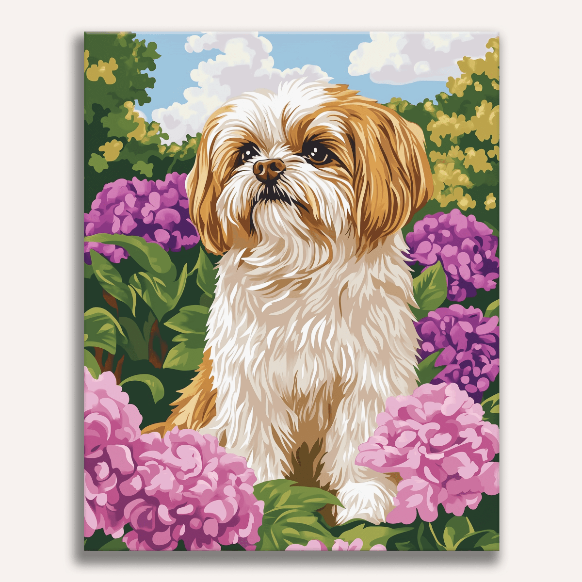 Golden Shih Tzu