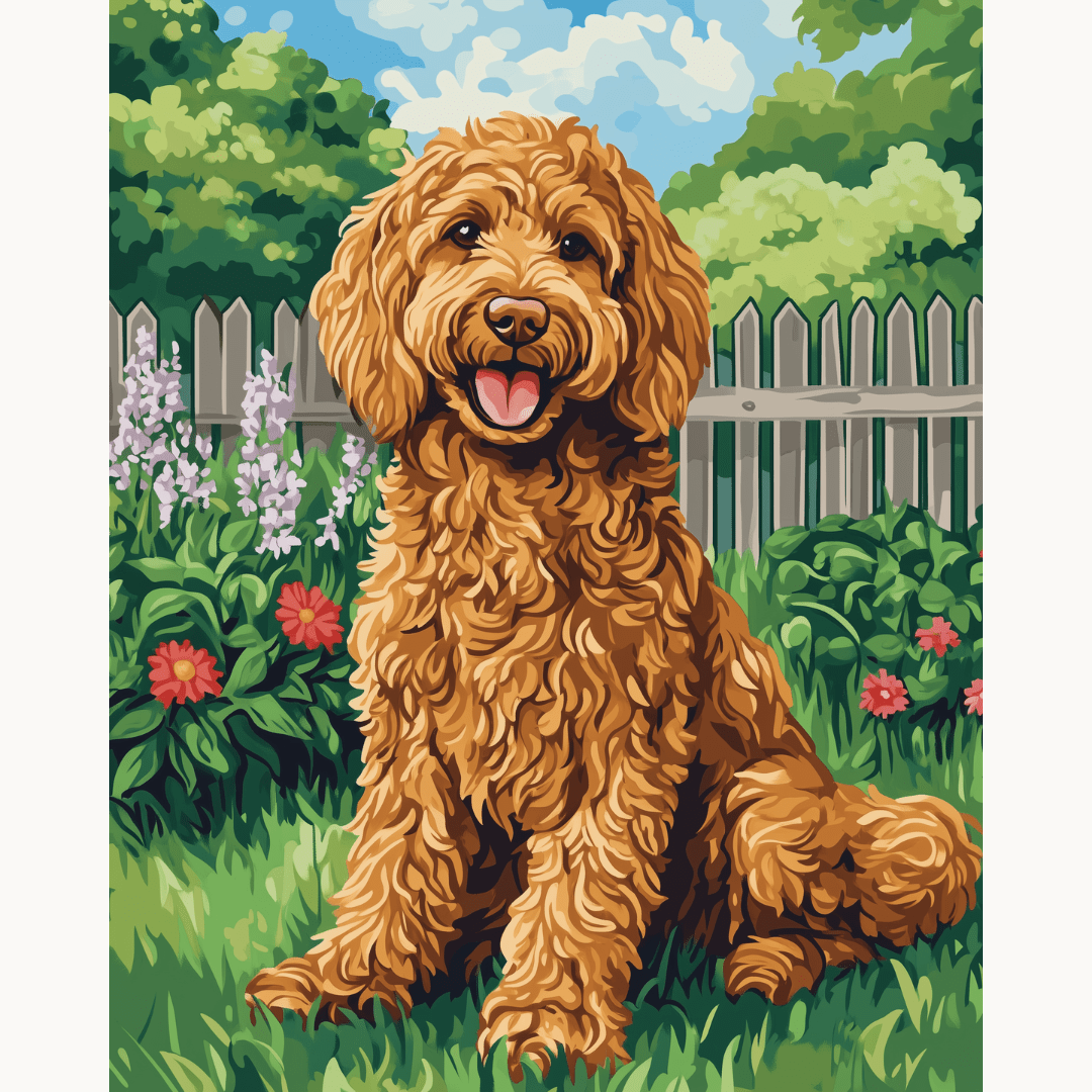 Goldendoodle