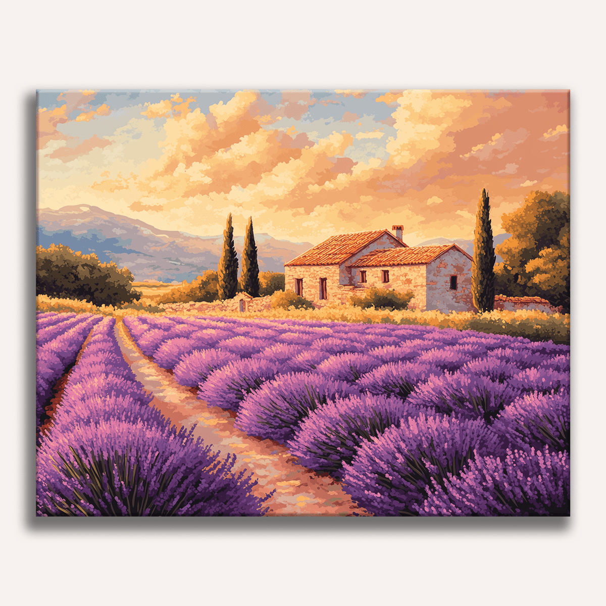 Lavender Rows