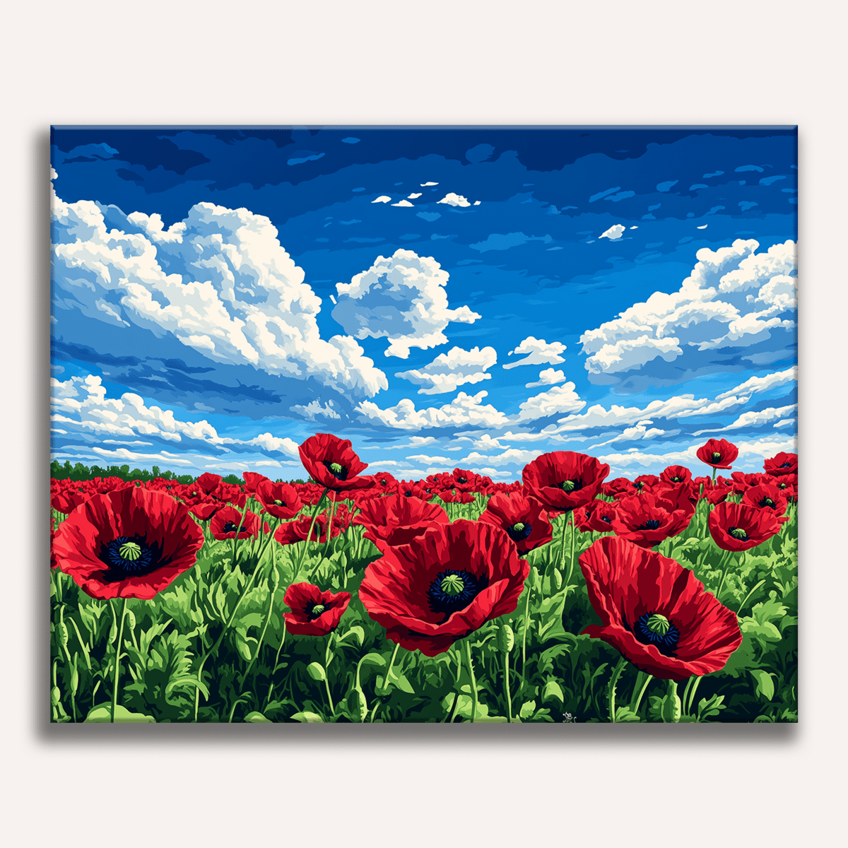 Poppy Paradise