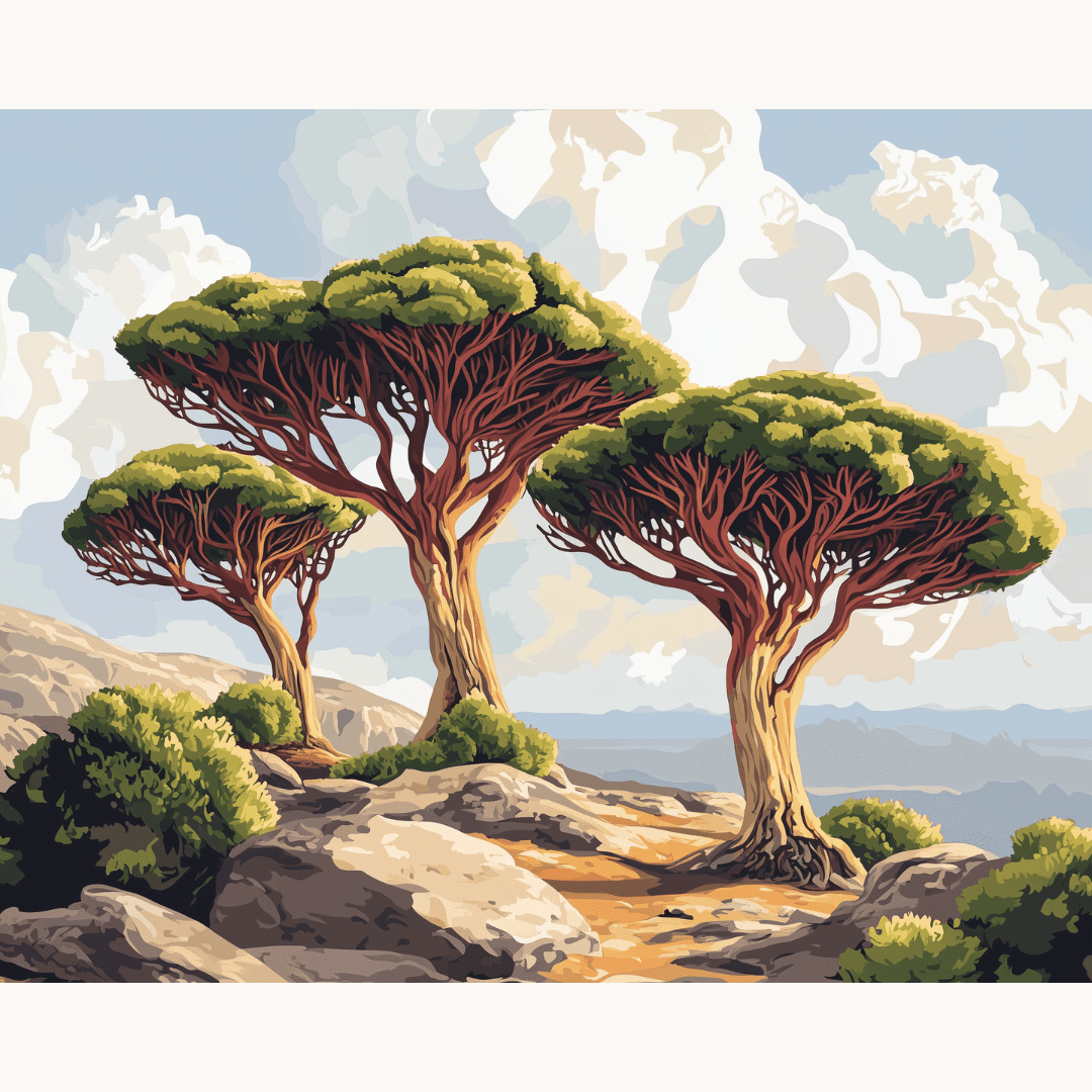 Socotra Island