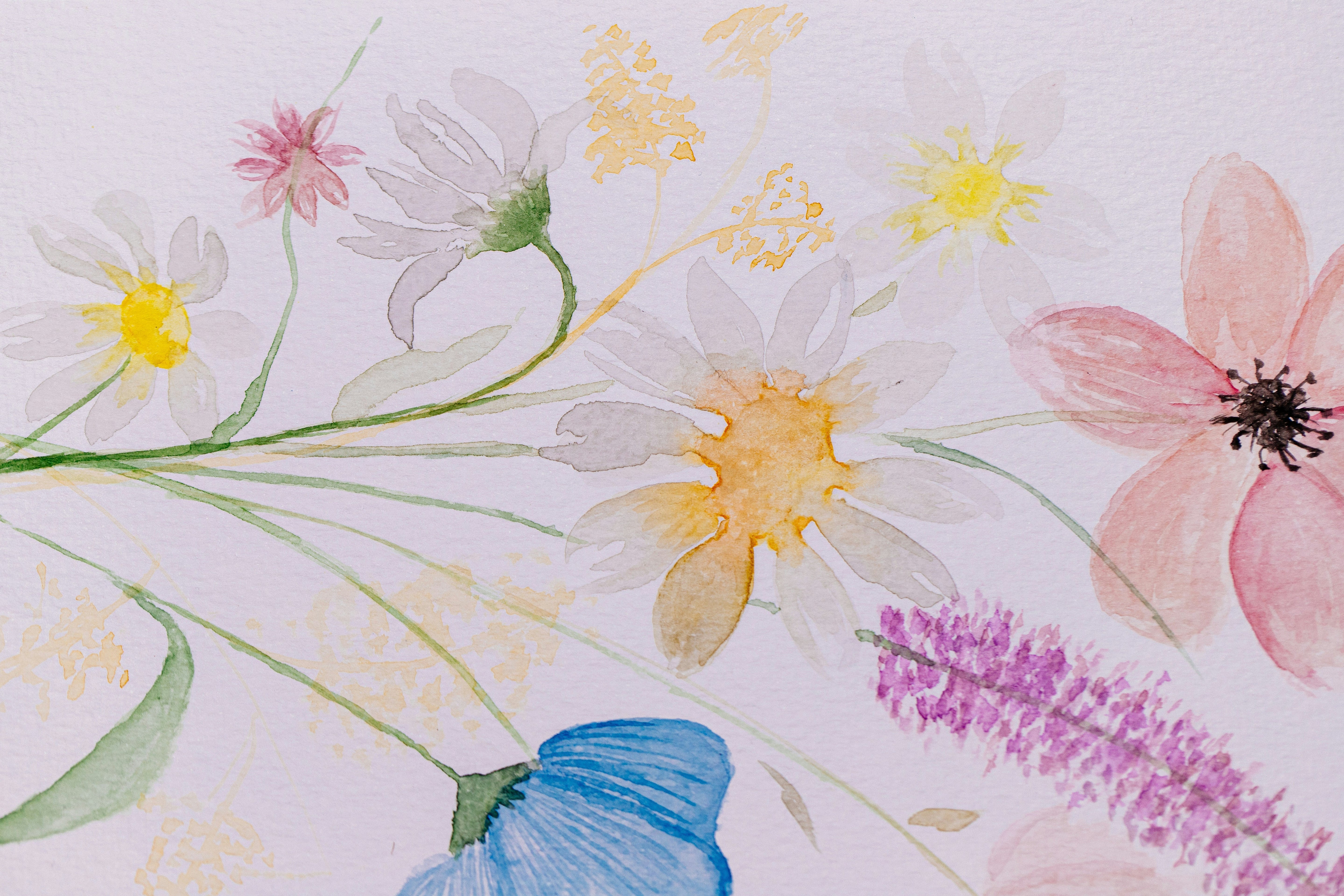 Flower Painting Techniques and Ideas for Complete Beginners