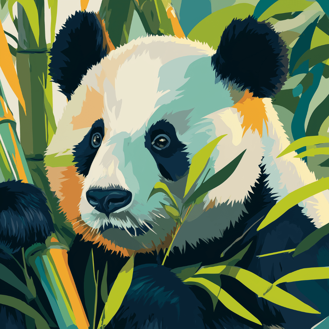 Soft Panda