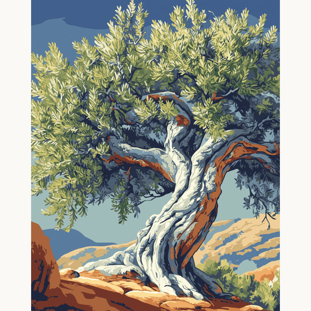 Ancient Twisted Olive Tree