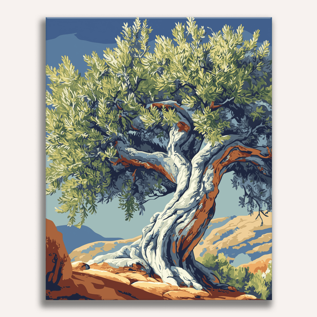 Ancient Twisted Olive Tree Paint by Numbers Kit