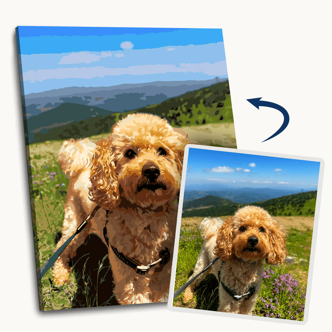 A happy golden retriever on a trail walk, with a clear sky background, and a side-by-side comparison of the same dog from different angles..