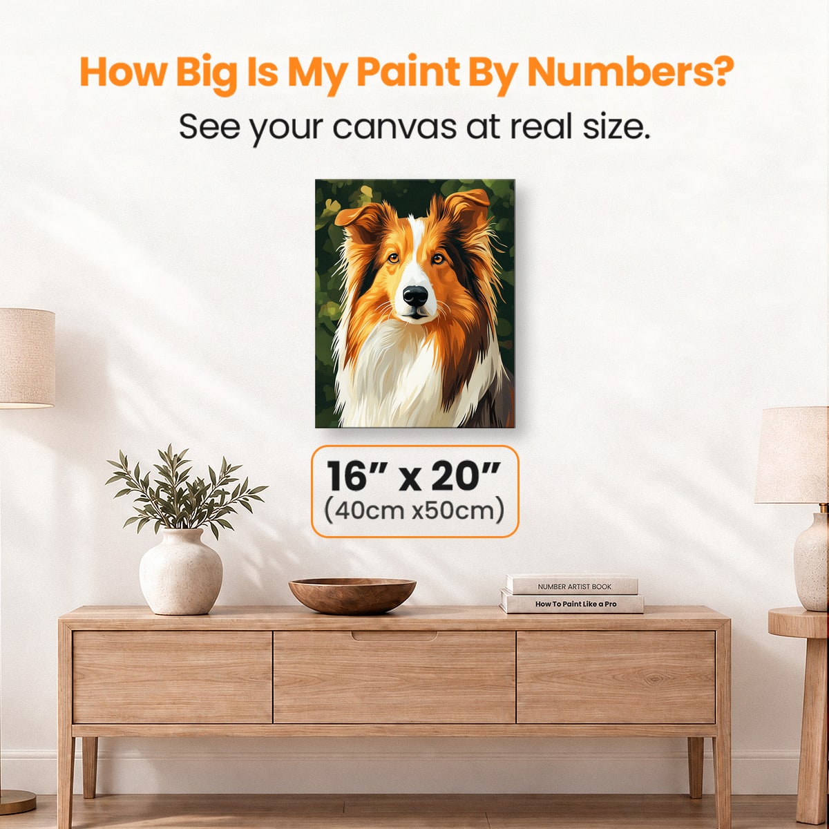 Collie Portrait