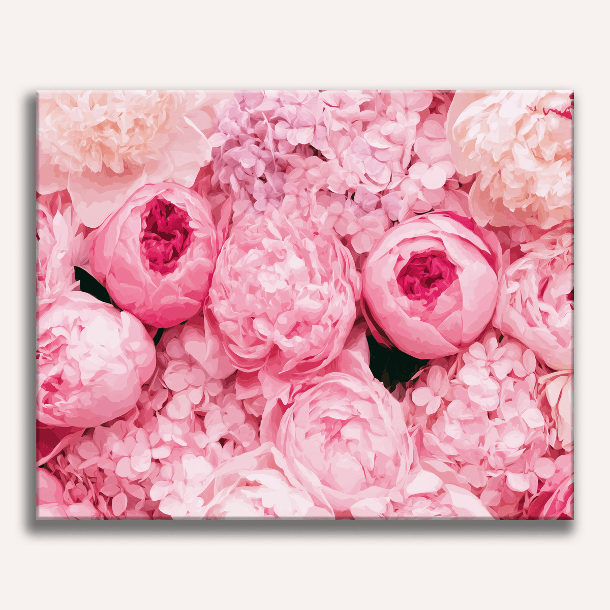Peony Frame - Number Artist Paint by Numbers Kits