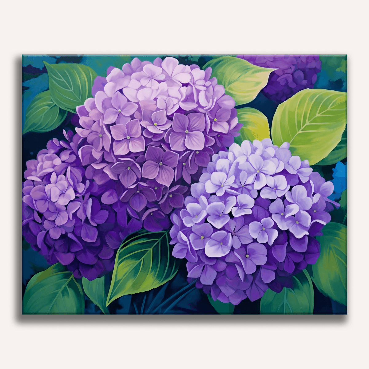 Purple Hydrangea
