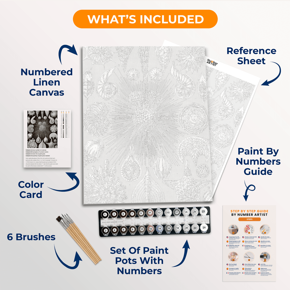 Thalamphora by Ernst Haeckel - Number Artist Paint by Numbers Kits