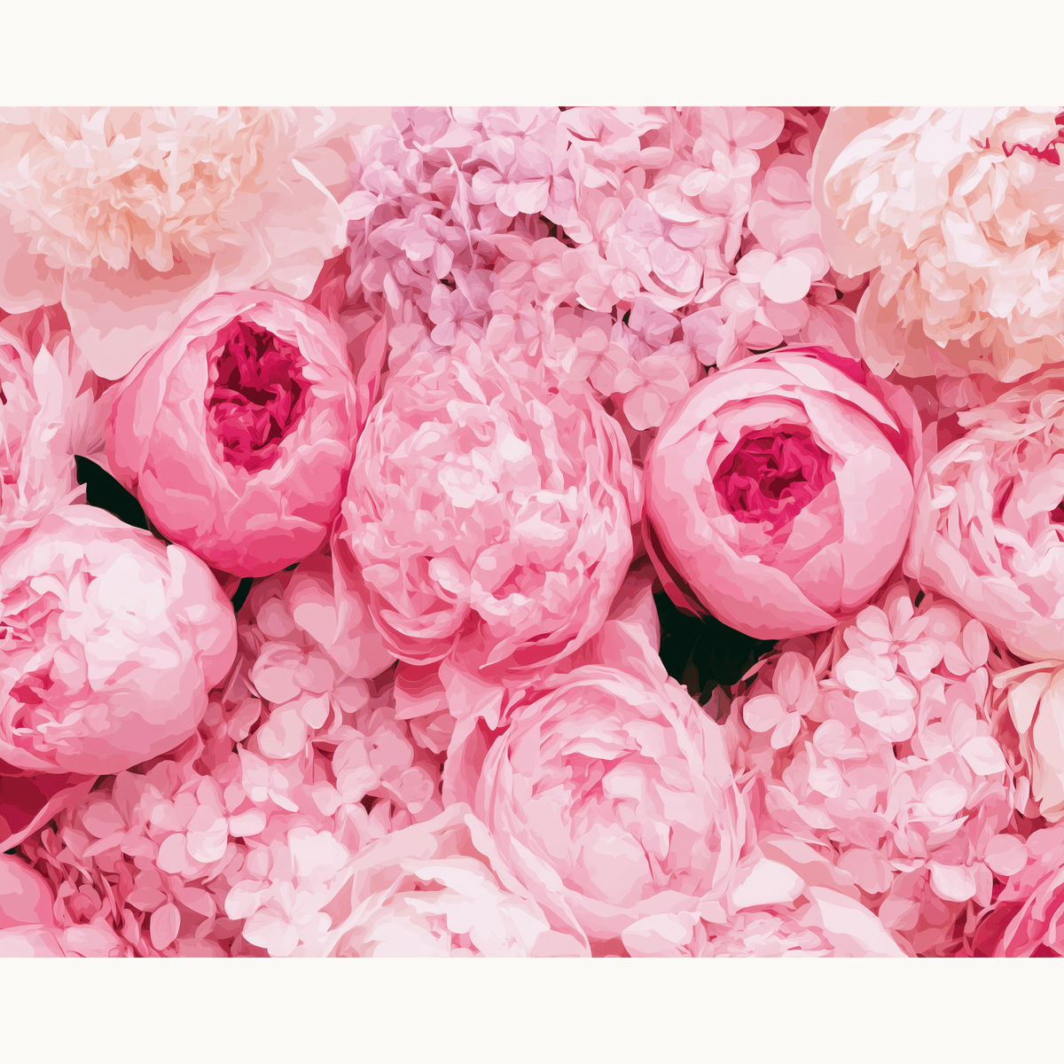Peony Frame - Number Artist Paint by Numbers Kits