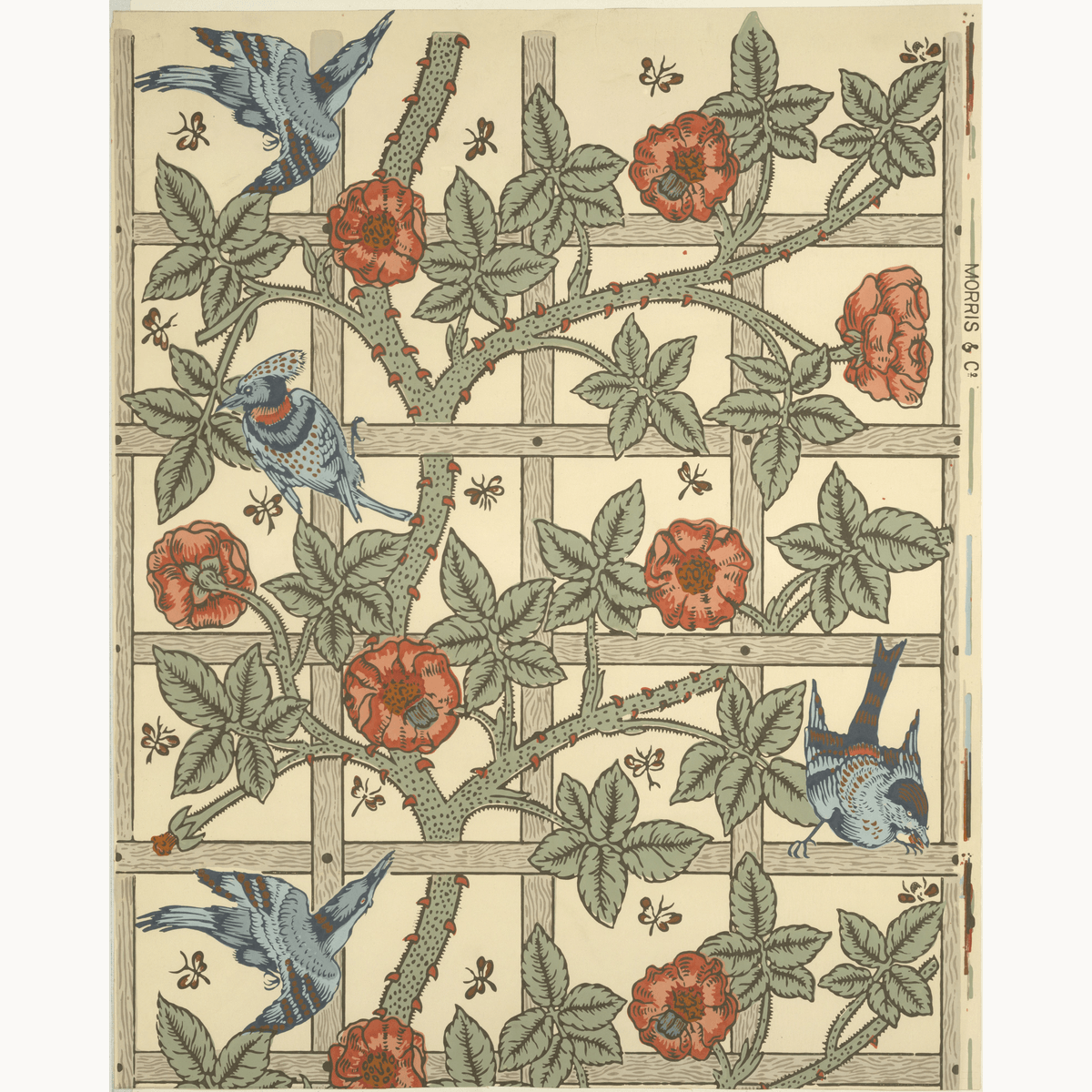 Trellis by William Morris - Number Artist Paint by Numbers Kits