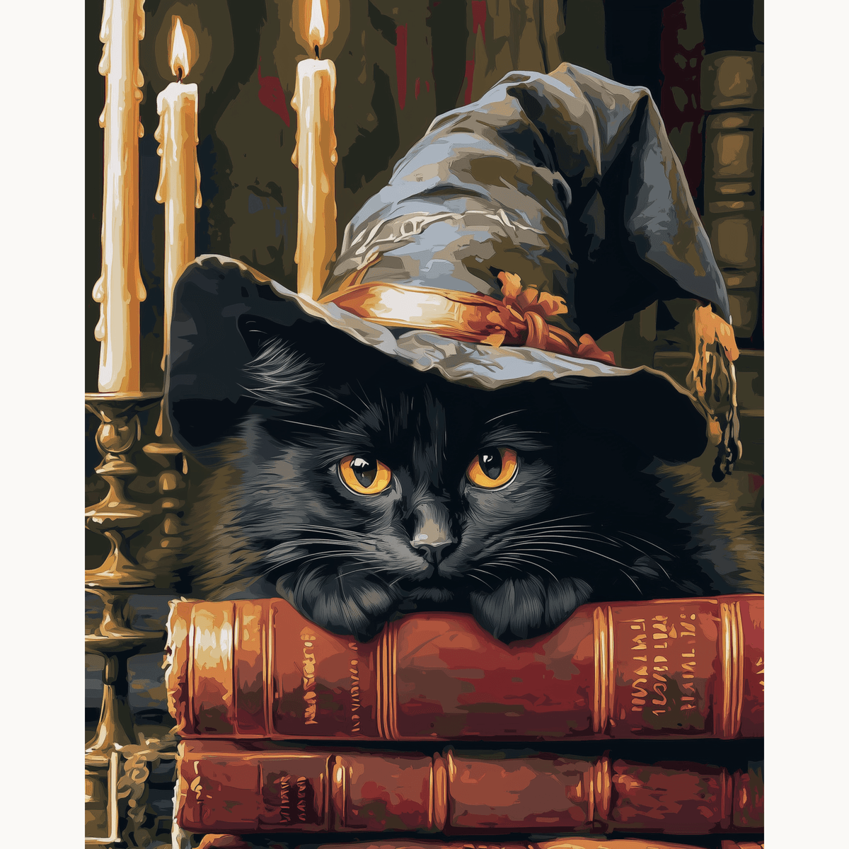 Purring Wizard - Number Artist Paint by Numbers Kits