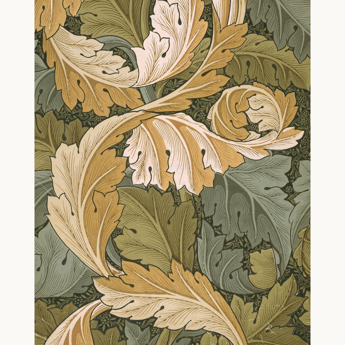 Acanthus by William Morris - Number Artist Paint by Numbers Kits