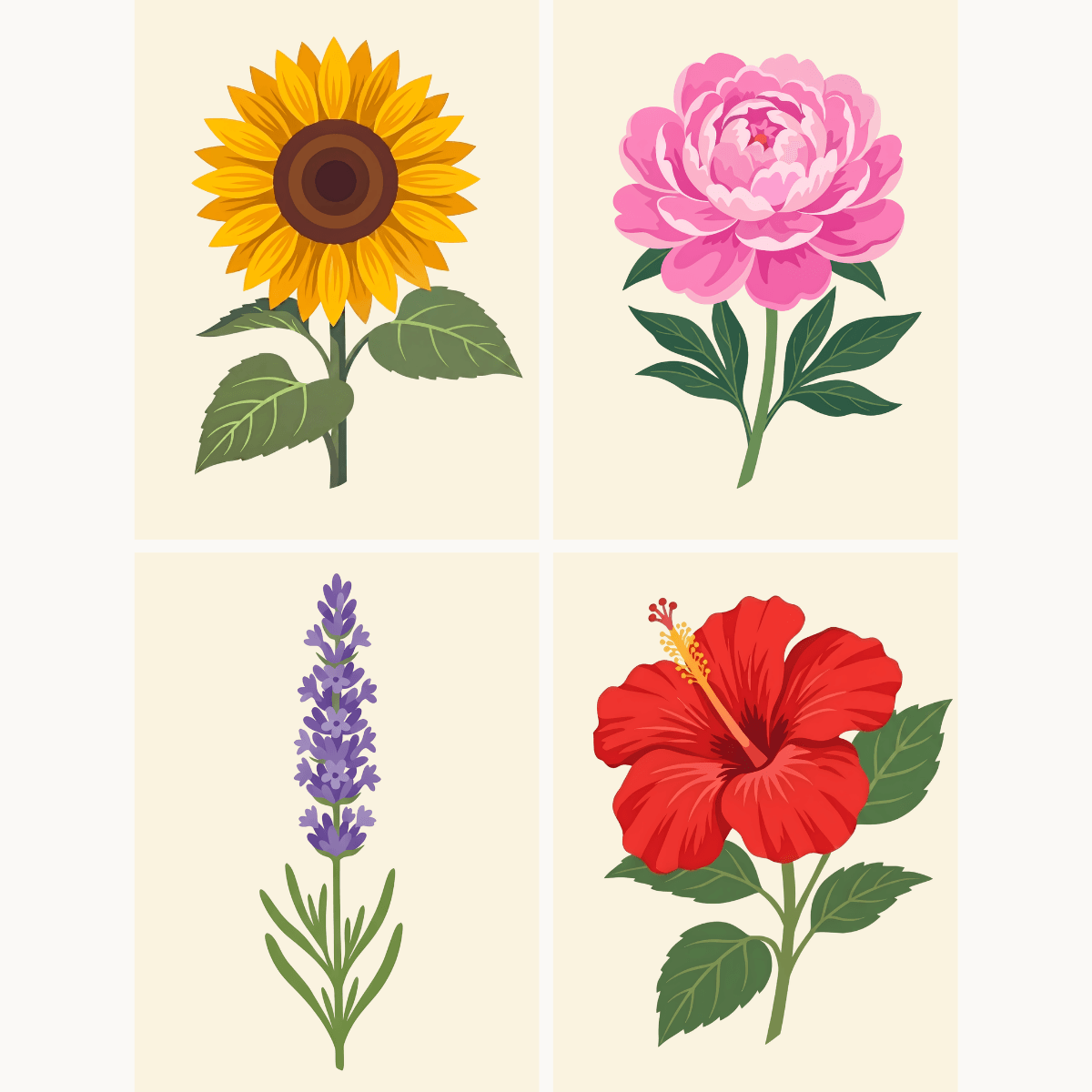 Summer Blooms