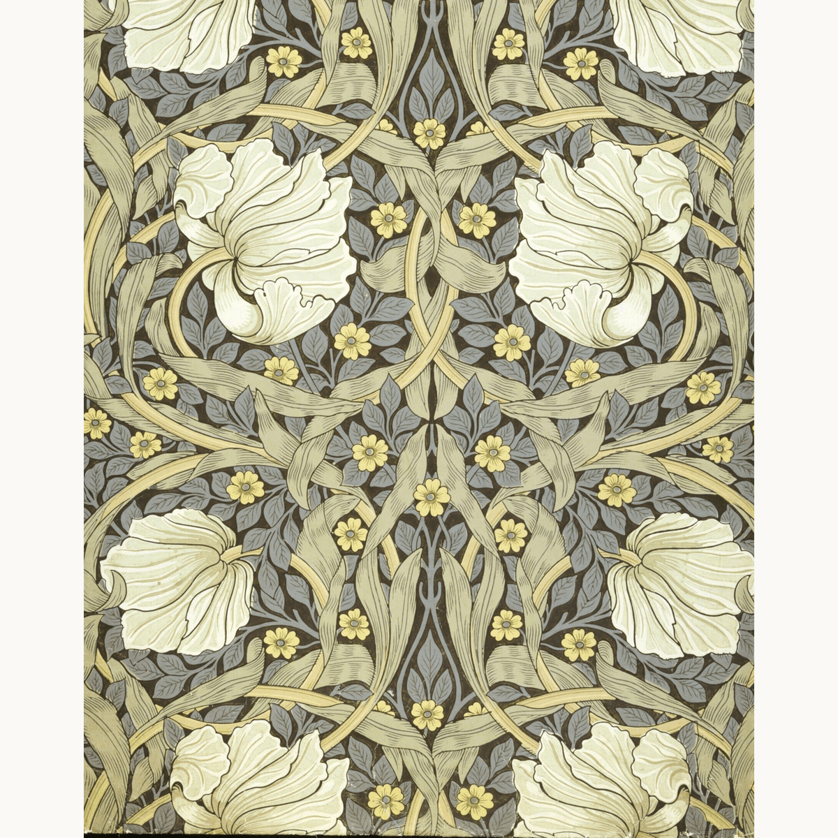 Pimpernel by William Morris - Number Artist Paint by Numbers Kits