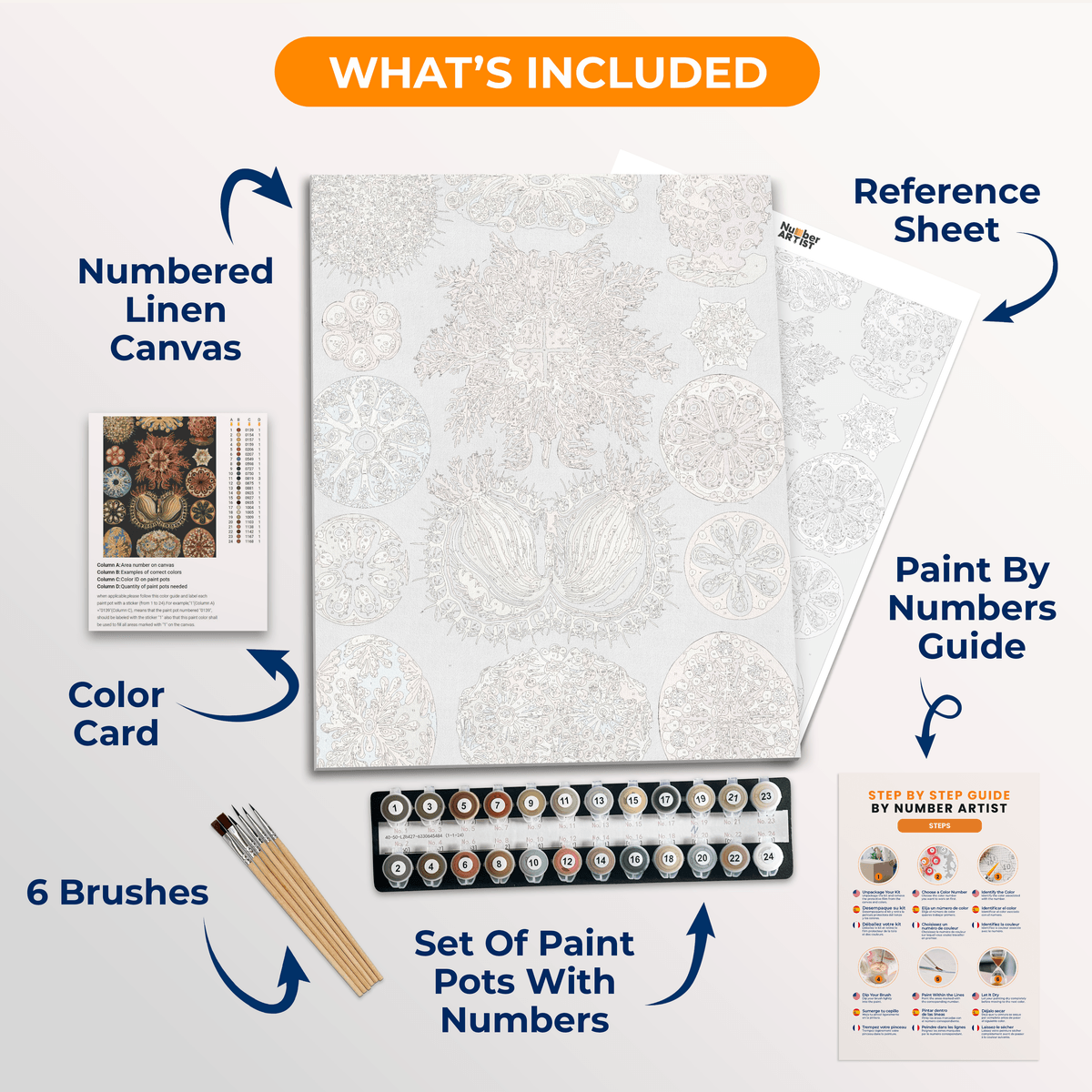 Ascidiae by Ernst Haeckel - Number Artist Paint by Numbers Kits
