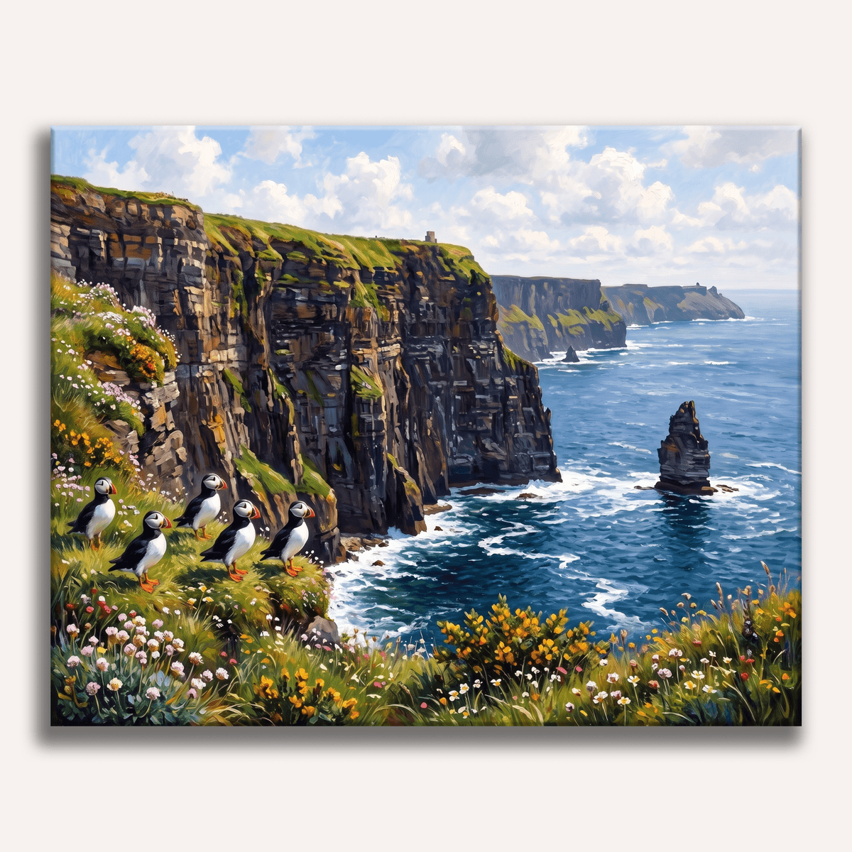 Irish Cliffs Puffins - Number Artist Paint by Numbers Kits