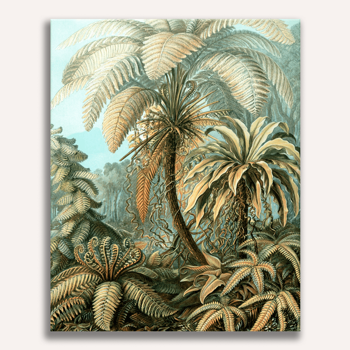 Filicinae by Ernst Haeckel - Number Artist Paint by Numbers Kits