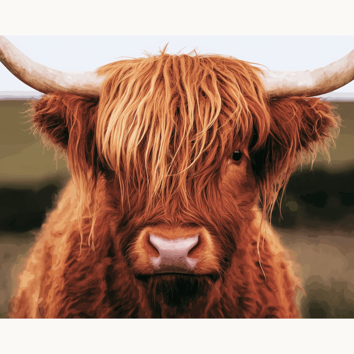 Highland Gaze - Number Artist Paint by Numbers Kits