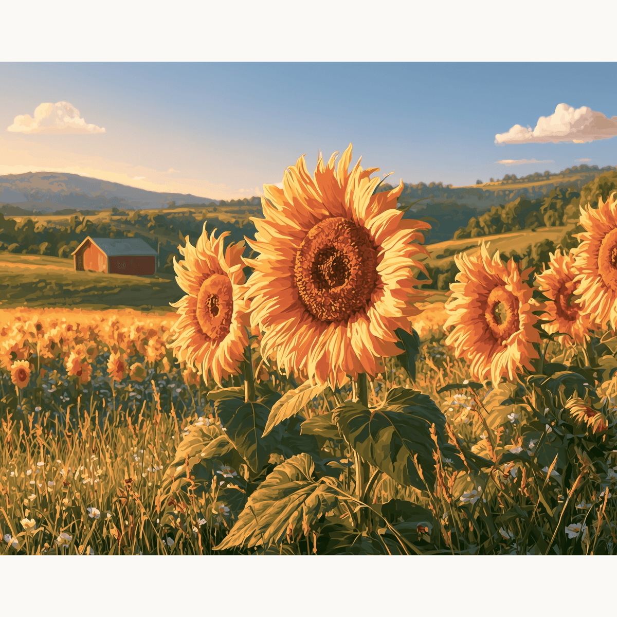Sunflower Warmth - Number Artist Paint by Numbers Kits