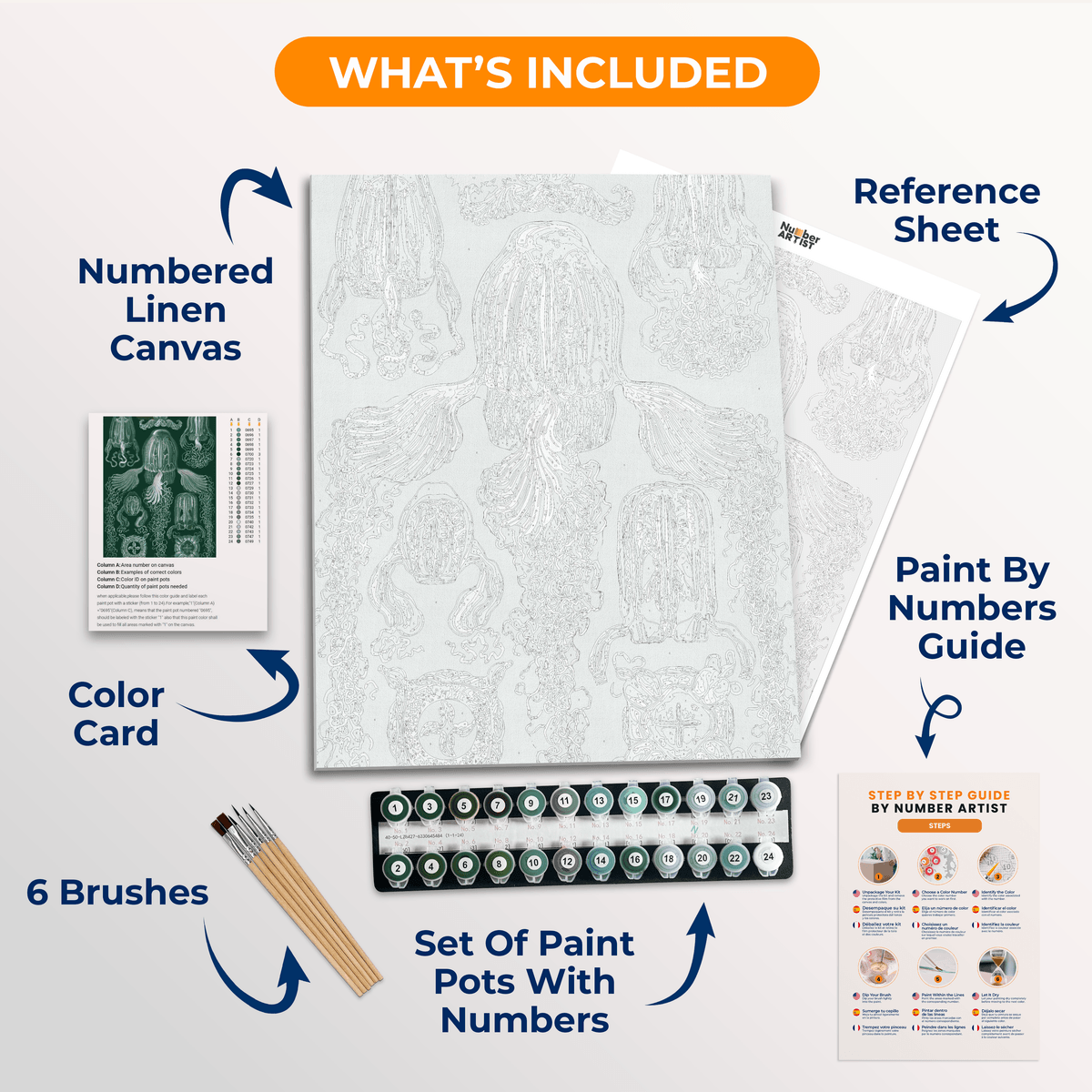Cubomedusae by Ernst Haeckel - Number Artist Paint by Numbers Kits