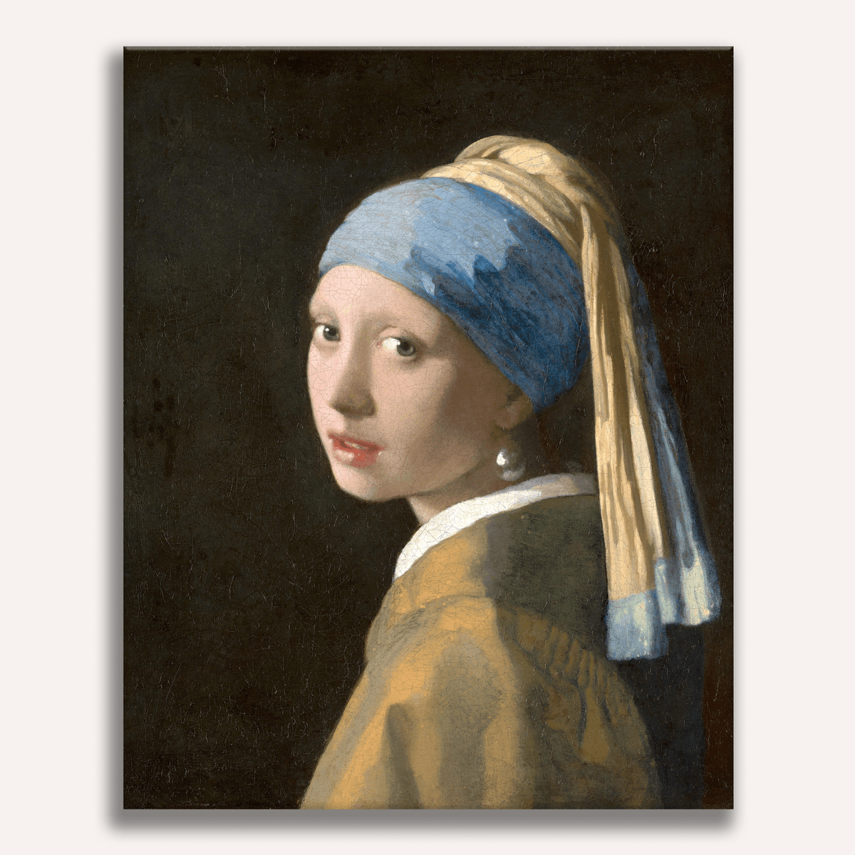 Girl with a Pearl Earring by Johannes Vermeer - Number Artist Paint by Numbers Kits