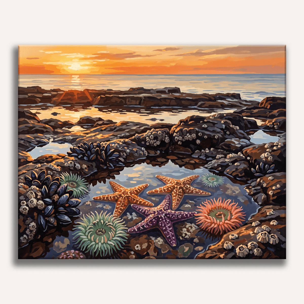 Hidden Wonders - Number Artist Paint by Numbers Kits