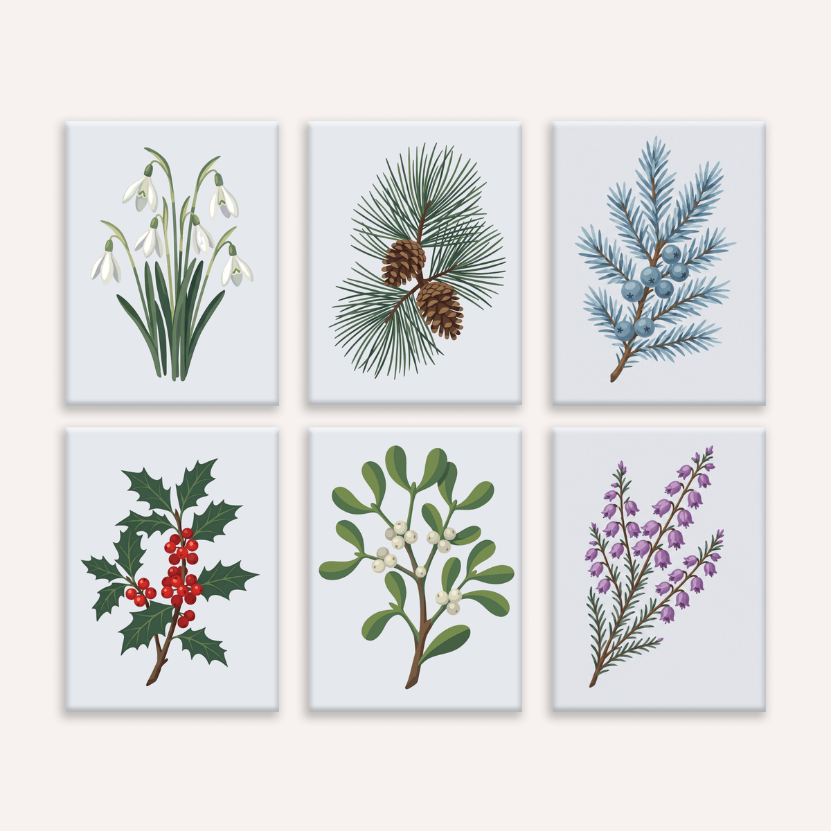 Winter Greens | 6 Mini Kits