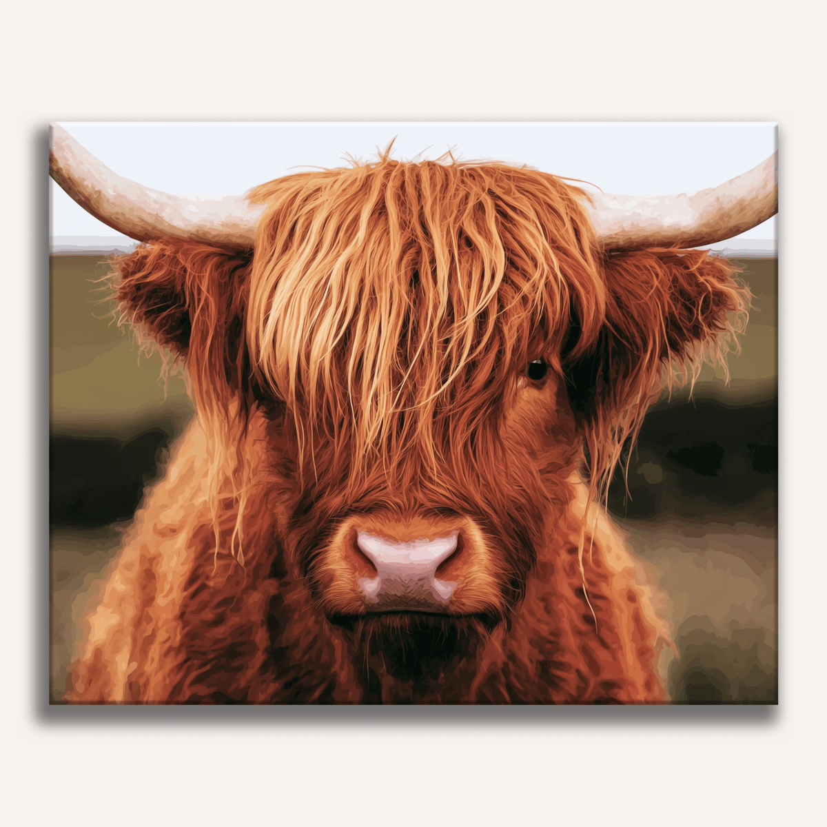 Highland Gaze - Number Artist Paint by Numbers Kits