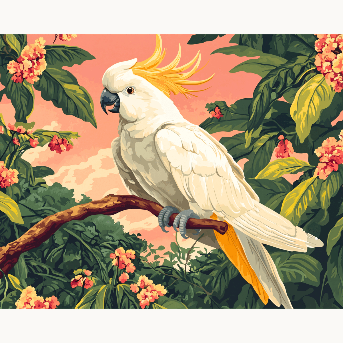 Magnificent Cockatoo